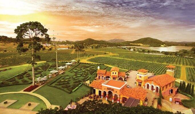 Silverlake Vineyard Pattaya private tour