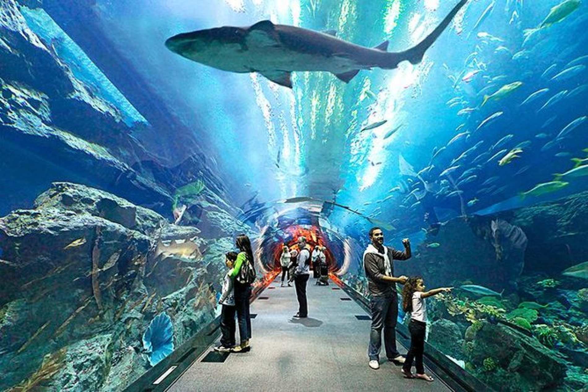 Underwater World Pattaya aquarium